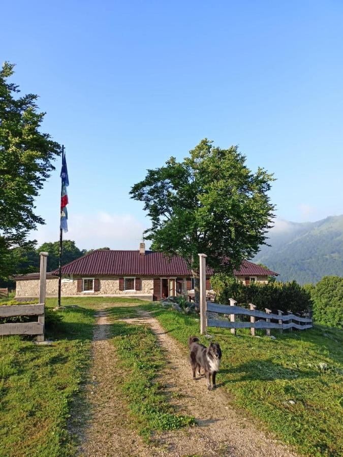 Rifugio Baita Fos-Ce 布伦托尼克 外观 照片